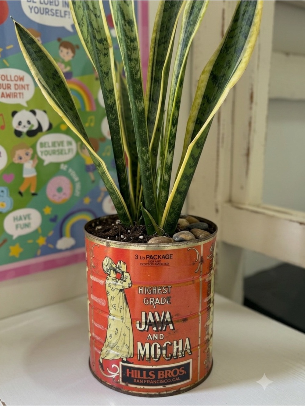 Vintage Hills Bros San Francisco Java and Mocha 3lb Coffee Can Tin Metal Planter